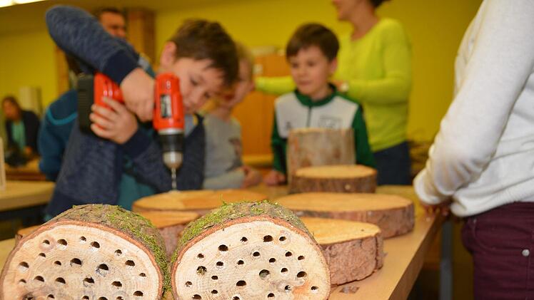 Impressionen vom Nisthilfenbau in der Melkendorfer Grundschule Dagmar Besand