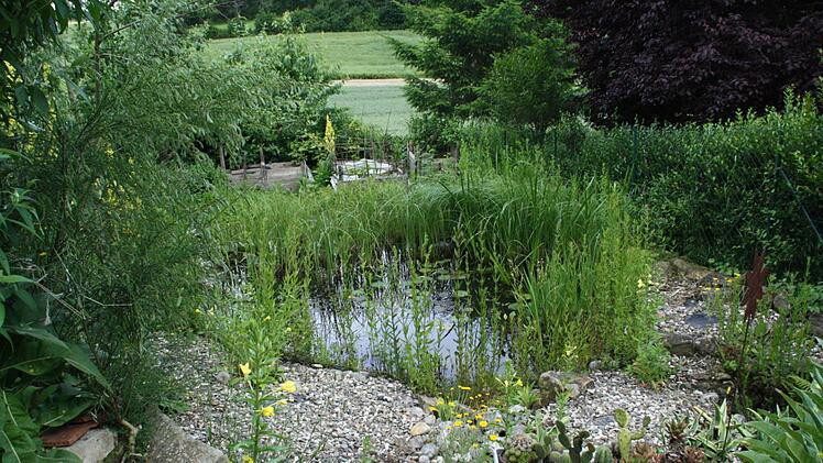 Im Garten der Maniettas
