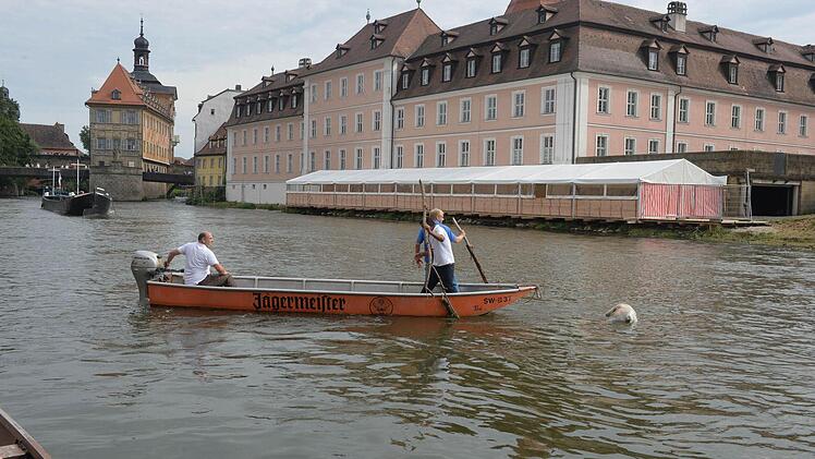 Das Boot mit den Helfern aus Klein-Venedig begleitet den Kadaver. Foto: Ronald Rinklef