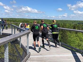 Am Samstag, 22. Juni, ist der Ebracher Baumwipfelpfad fest in Händen von Halbmarathonläufern - beim ersten Panorama-Baumwipfel-Lauf. Da Foto entstand bei Test-Runden.Claus-Dieter Schilling