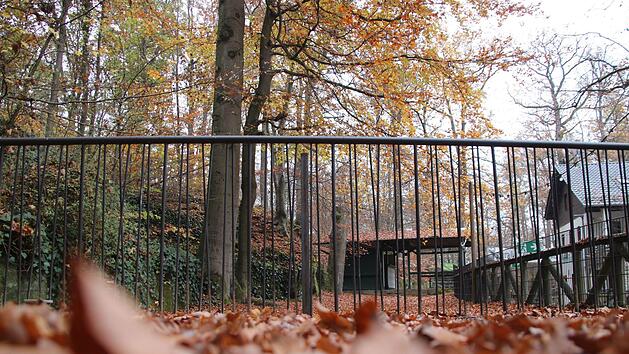 Die Stahlvariante (siehe Foto) ist abgelehnt. Stattdessen soll um die Geländer eine Holz-Stahl-Variante gebaut werden. Fotos: Ronald Heck