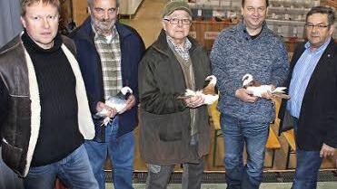 Mit Ausstellungsleiter Bernd Meier (v.l.) präsentieren sich Georg Kroll und Erhard Meier mit ihren Nürnberger Bagdetten, der Vorsitzende des Geflügelzuchtvereins, Stefan Bräunig; Zweiter Bürgermeister Peter Schmitt und Rudi Lang mit seiner Nürnberger Bagdette.  Foto: fra-press