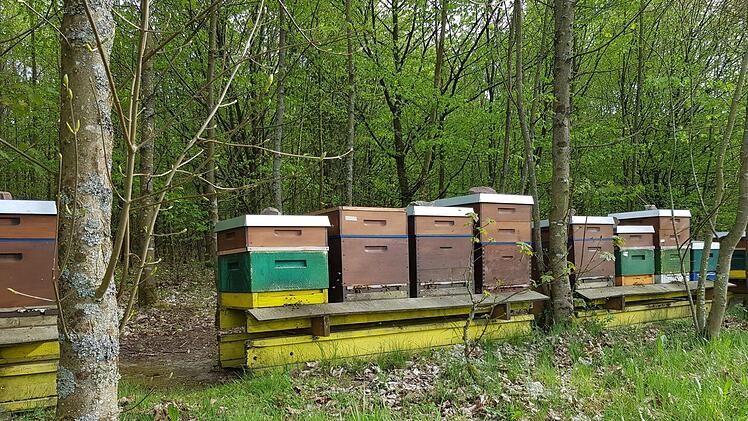 Entlang des Weges begegnen einen Bienenkästen. Foto: Ronald Heck