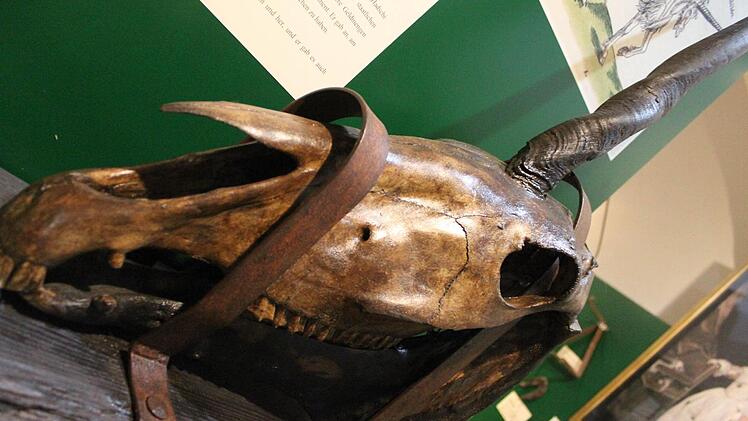 "Hexen, Werwölfe und Untote" in Kulmbach Foto: Jürgen Gärtner