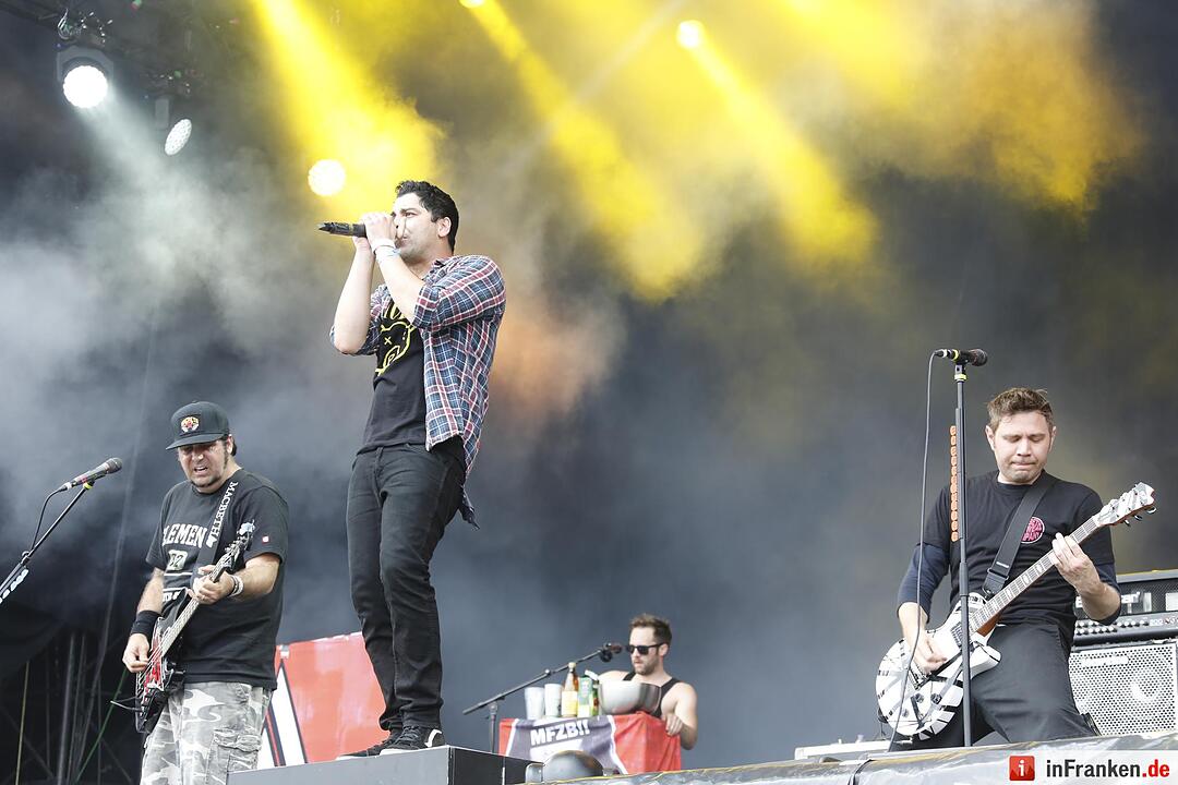 RIP15 - Zebrahead