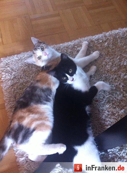 Foto: Aylin Demirsayar