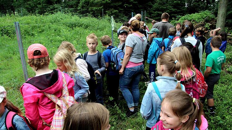 Schüler und Lehrer verbrachten einen Schultag im Wald.   Foto: Richard Sänger