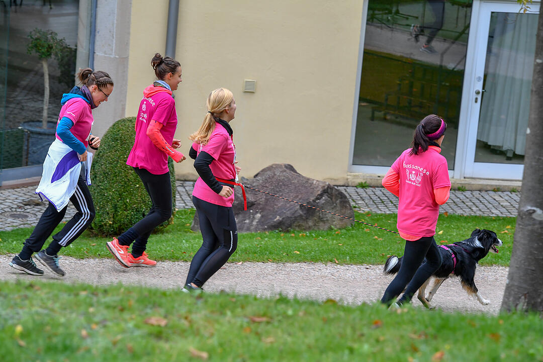 Pinklauf in Bad Brückenau: Rekord erneut geknackt