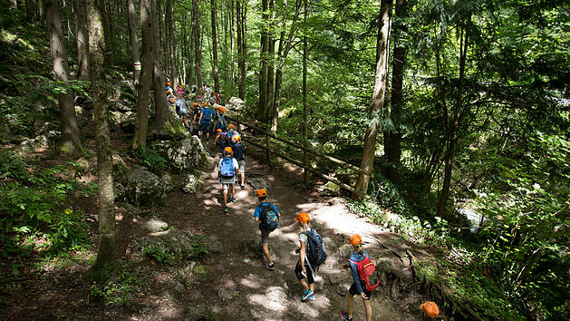 Schock bei Ferien-Ausflug: Schulkinder entdecken Leiche im Wald