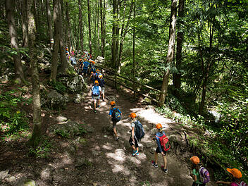 Schock bei Ferien-Ausflug: Schulkinder entdecken Leiche im Wald