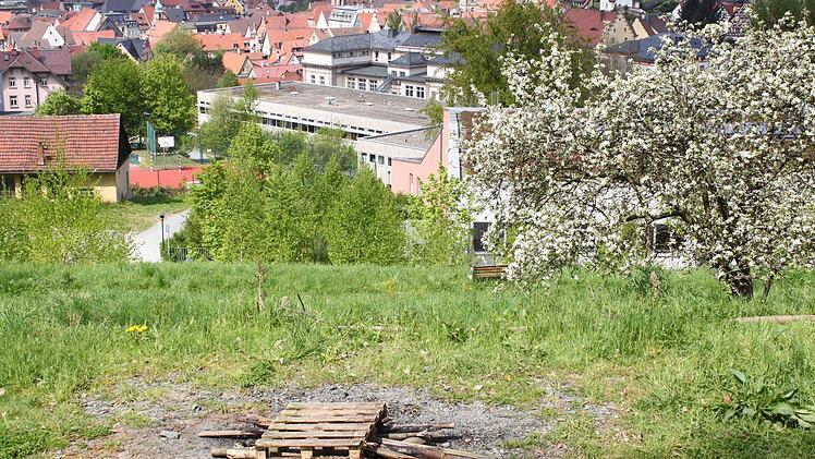 Der Grillplatz befindet sich hinter dem MGF-Gymnasium. Eigentlich ein schönes Örtchen zum Feiern mit Blick über die Stadt. Fotos: Jürgen Gärtner