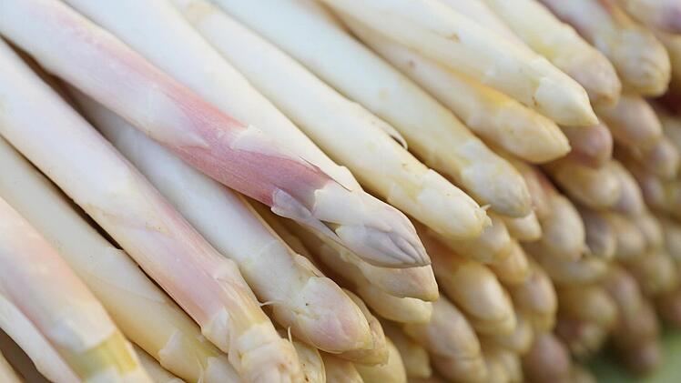 Spargel wird "violett", weil UV-Licht zur Stange durchdringt und die Photosynthese einsetzt.Foto: Sarah Dann