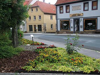 Unzählige Grünanlagen gibt es im Stadtgebiet. Klimaschutzmanager Stefan Richter hat nun ein Konzept zu ihrer Pflege erarbeitet und dem Stadtrat vorgestellt. Foto: Thomas Malz