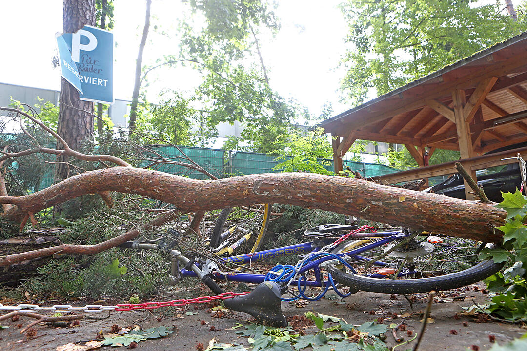 Aufraeumarbeiten in Bamberg nach schwerem Unwetter