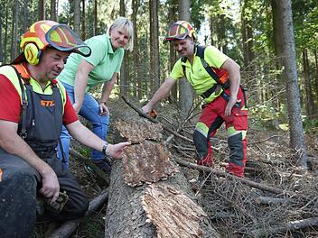 Carmen Hombach, F&ouml;rsterin der Stadt Kulmbach, und zwei ihrer Mitarbeiter begutachten die Sch&auml;den, die Borkenk&auml;fer an einem Baum im Wald bei Marktschorgast hinterlassen haben. Foto: Rebecca Vogt