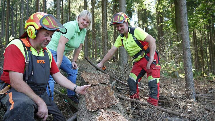 Carmen Hombach, F&ouml;rsterin der Stadt Kulmbach, und zwei ihrer Mitarbeiter begutachten die Sch&auml;den, die Borkenk&auml;fer an einem Baum im Wald bei Marktschorgast hinterlassen haben. Foto: Rebecca Vogt