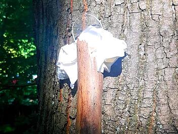 Diese Brandfalle fand eine Spaziergängerin in NRW im Wald. Foto: Feuerwehr Wülfrath