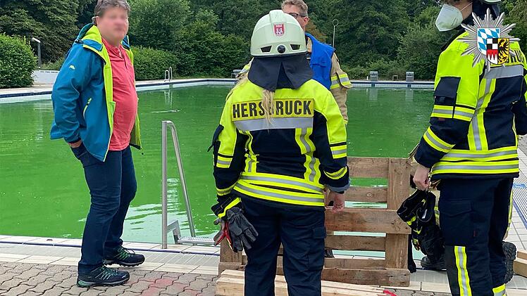Biber schwimmt in Fackelmann Therme Hersbruck