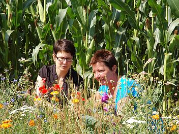 Astrid und Sylvia Franz sind Imkerinnen und freuen sich deshalb über die Blühstreifen. Fotos: Rainer Lutz
