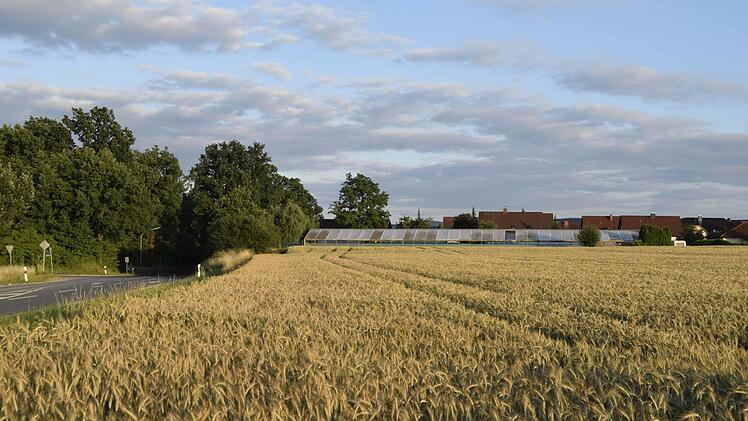 Noch reift die Wintergerste auf den Feldern am Ortsausgang von Marktzeuln. Dort entsteht demnächst das neue Baugebiet "Sandersgarten-Nord".Andreas Welz