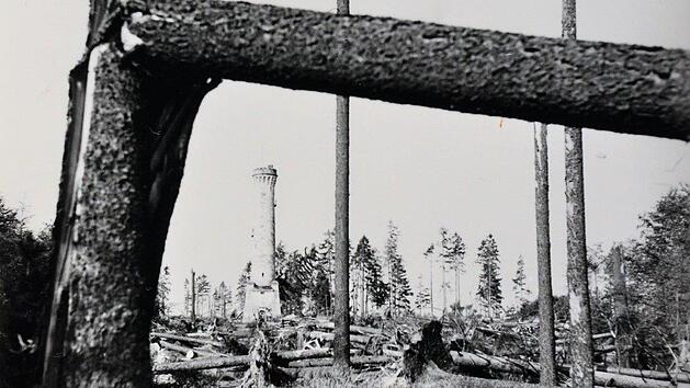 Wie wenn eine Bombe eingeschlagen h&auml;tte: Der Bereich zwischen der Arnoldh&uuml;tte und dem Prinzregententurm auf dem Muppberg.
