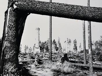 Wie wenn eine Bombe eingeschlagen hätte: Der Bereich zwischen der Arnoldhütte und dem Prinzregententurm auf dem Muppberg.