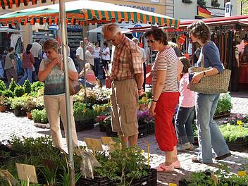 Am Sonntag wird die Marktsaison in Bischofsheim mit einem Blumen- und Frühlingsmarkt eröffnet.