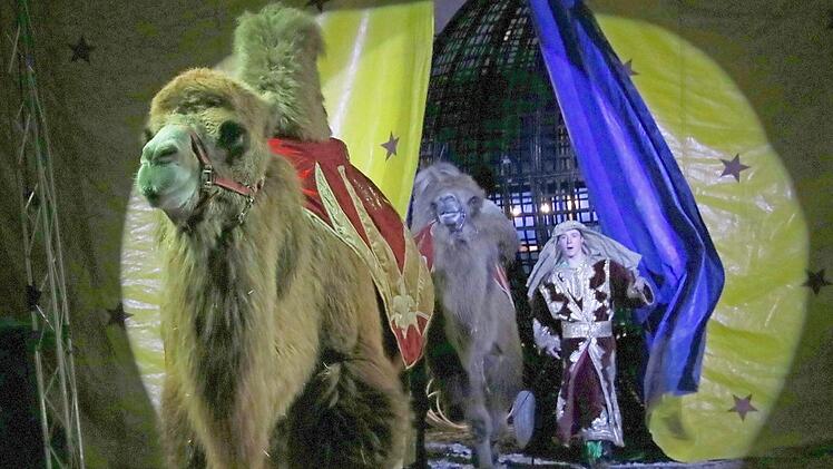 Ein Hauch von Orient weht durch die Manege.  Foto: Josef Hofbauer