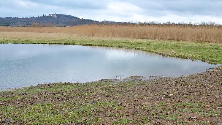 Im Naturschutzgebiet "Glender Wiesen" wurden durch den Landschaftspflegeverband Feuchtbiotope neu angelegt. Foto: Rainer Lutz