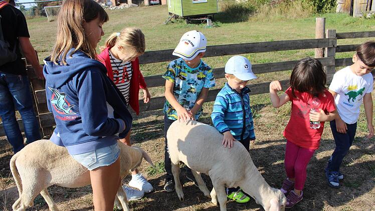 Mit den beiden Schafen auf dem Heinershof gingen die Kinder nach anfänglicher Scheu auf Tuchfühlung.  Fotos: Evi Seeger