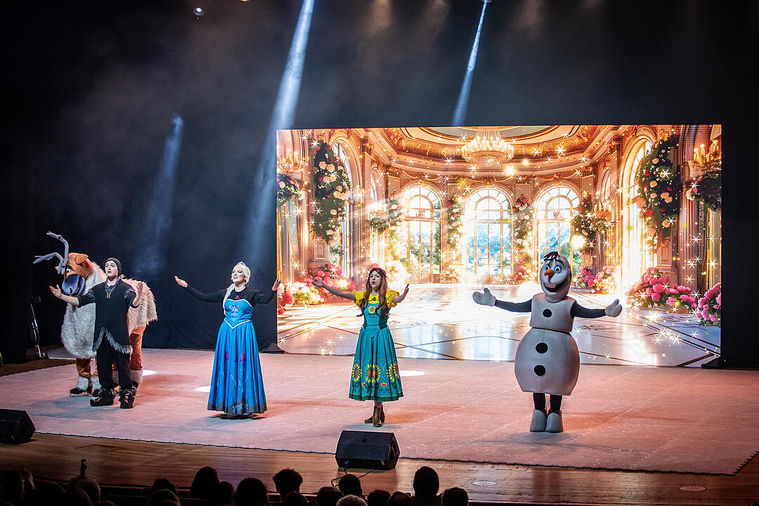 Märchenhafte Magie für alle Elsa, Anna und Olaf Fans!