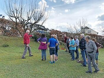 Am kommenden Samstag, 22. September, f&uuml;hrt der OGV Steinberg einen Baumschnittkurs durch. Das Bild stammt vom letzten Schnittkurs im Fr&uuml;hjahr dieses Jahres.  Foto: Heike Sch&uuml;lein