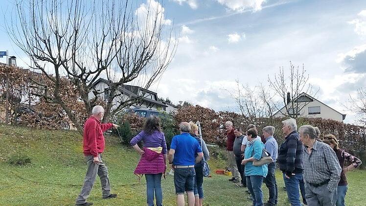 Am kommenden Samstag, 22. September, f&uuml;hrt der OGV Steinberg einen Baumschnittkurs durch. Das Bild stammt vom letzten Schnittkurs im Fr&uuml;hjahr dieses Jahres.  Foto: Heike Sch&uuml;lein