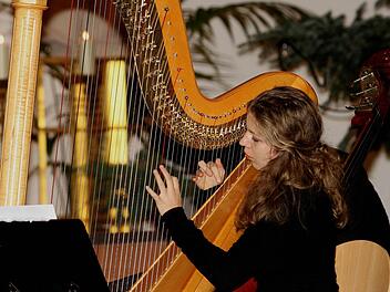 Als Meisterin ihres Faches zeigte sich Maria Theresa Freibott an der Harfe. Fotos: Günther Geiling