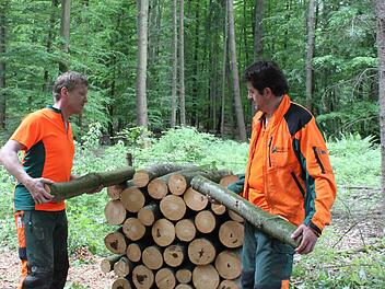 Gerald Schlereth und Otmar Hack vom Staatsforst bereiten Station 5 des Waldparcours vor. Hier wird es um das Thema Holz als Energiequelle gehen. Foto: Thomas Mäuser
