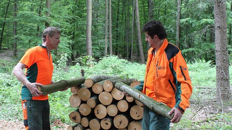 Gerald Schlereth und Otmar Hack vom Staatsforst bereiten Station 5 des Waldparcours vor. Hier wird es um das Thema Holz als Energiequelle gehen. Foto: Thomas Mäuser