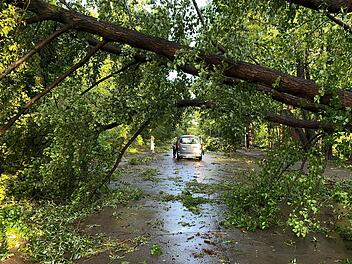 Gewitter in Berlin und Brandenburg