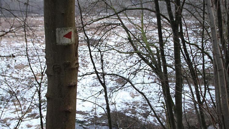 Ganz in der Nähe des Biber-Reviers im Staatsbad Bad Brückenau führt ein Wanderweg vorbei. Foto: Ulrike Müller