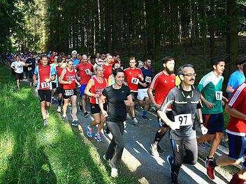 156 Teilnehmer verzeichnete der 31. Walter-Richter-Lauf im Mainecker Forst. Foto: Monika Limmer