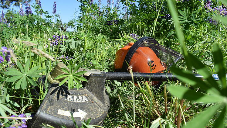 Landkreis Kitzingen: Frist für das Heckenschneiden einhalten - warum das nötig ist