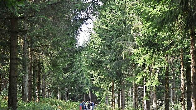 Wandern in der Rh&ouml;n: Die Urlauber und Besucher bleiben im Schnitt vier Tage l&auml;nger in der Region.