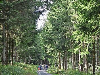 Wandern in der Rhön: Die Urlauber und Besucher bleiben im Schnitt vier Tage länger in der Region.