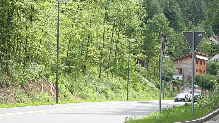 In der Wolfskehle kommen sich ein Autofahrer und ein Fußgänger in die Quere. Bei der Kollision mit dem Außenspiegel sind weder nennenswerte Verletzungen zu beklagen noch irgendein Schaden am Kleinbus. Doch es gibt ein Mordsgeschrei auf der Straße - mit dem Ergebnis, dass man sich am Donnerstag vor Gericht wiedersieht. Foto: Archiv