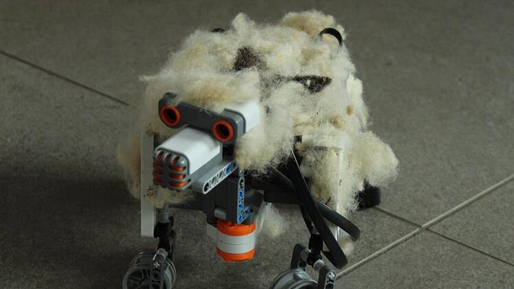 Lego in der Schule? Wer an viele bunte Bausteine denkt, ist am Höchstadter Gymnasium falsch. Aus dem speziellen Lego-Mindstorms-System hat die Projektgruppe viele erstaunliche Dinge gebastelt: Einen intelligent höhenverstellbaren Schreibtisch, einen knuffigen Roboter  oder einen smarten Einkaufswagen.  Foto: Katarina Amtmann