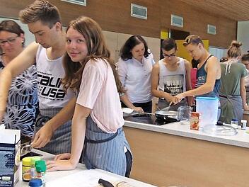 Beim gemeinsamen Kochen übten die Schüler aus Deutschland und Ungarn die interkulturelle Kommunikation.  Foto: Petra Malbrich