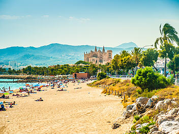 Urlaub auf Mallorca: Stand in Palma des Mallorca