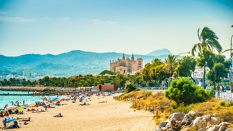 Urlaub auf Mallorca: Stand in Palma des Mallorca