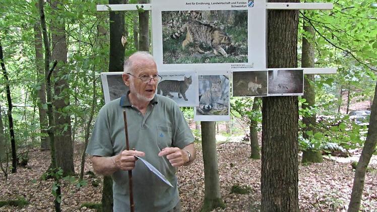 Wildkatzenexperte Eberhard Ponader, pensionierter Förster, gab Informationen zu dem scheuen Tier.   Foto: Gnannt