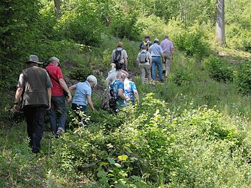 Durch teils verschlungene Wege ging es mit Hermann Hacker durch den Wald bei Wiesen. Foto: Markus Häggberg