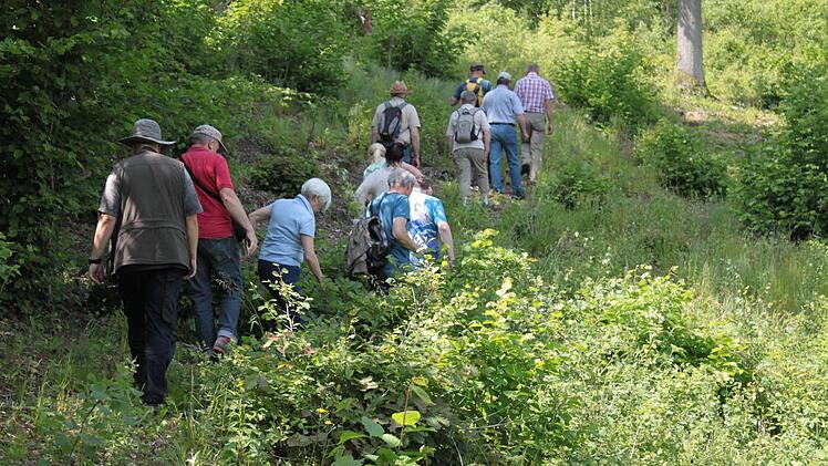 Durch teils verschlungene Wege ging es mit Hermann Hacker durch den Wald bei Wiesen. Foto: Markus Häggberg